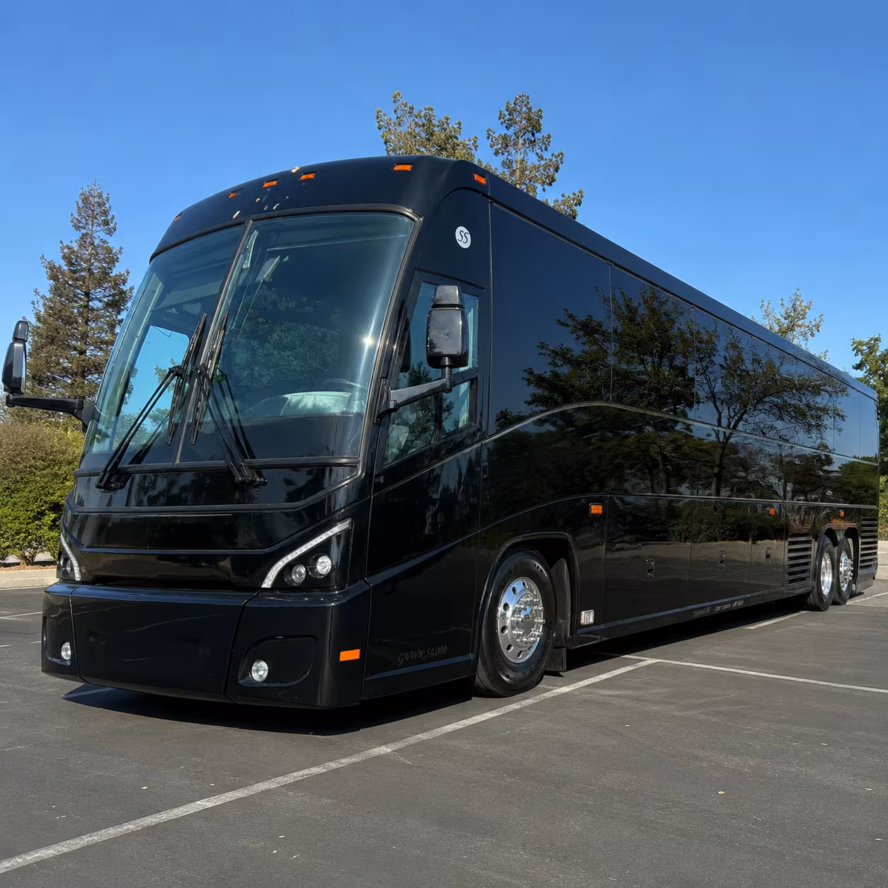 multi day bus trips to bonnaroo bristol and the smoky mountains
